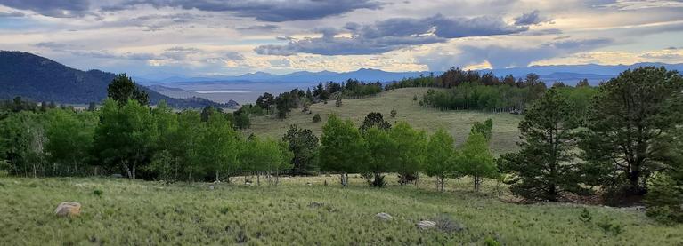 Rolling Hills and Mountains June 2020 West of Pikes Peak