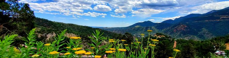 View of flowers and mountains from cave of the winds